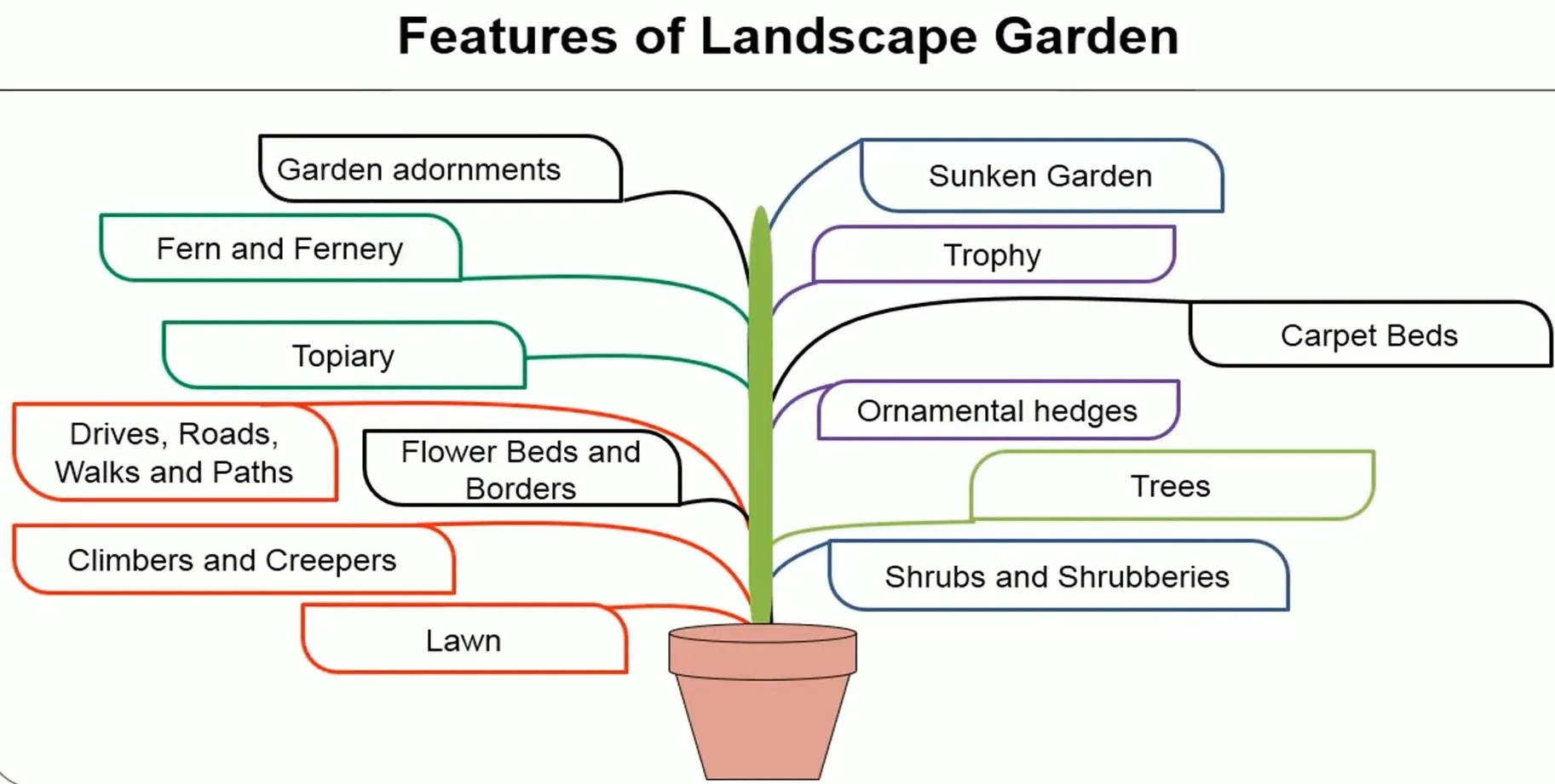 FEATURES OF LANDSCAPE GARDEN AND GARDENING PLANTS Archi Monarch