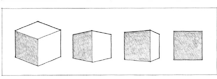 CHARECTERSTICS OF FORM FIVE