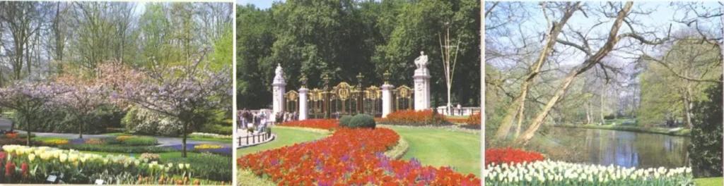 DOMINANCE IN ARCHITECTURE FOUR