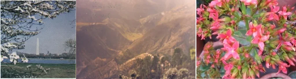 DOMINANCE IN ARCHITECTURE ONE