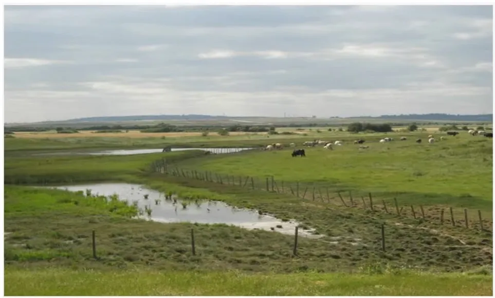 ELEVATION OF SITE ONE