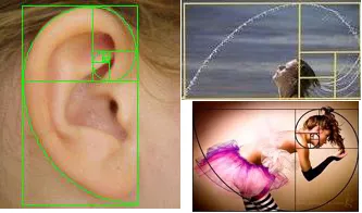 EXAMPLE OF PROPORTION FOUR