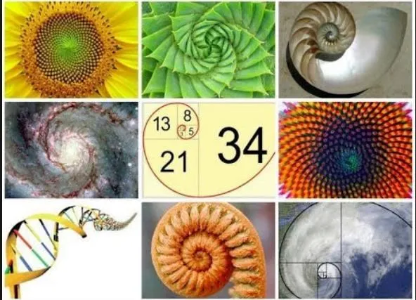 EXAMPLE OF PROPORTION THREE