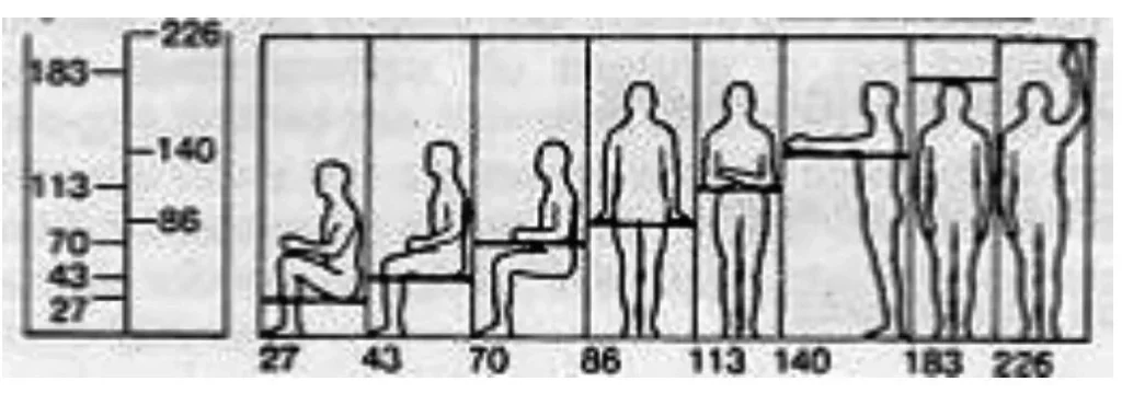 Human Scale  Modulor – bilgesu · an architect and a researcher