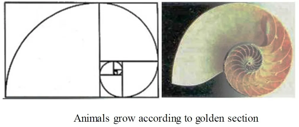 NATURE AND GOLDEN SECTION ONE