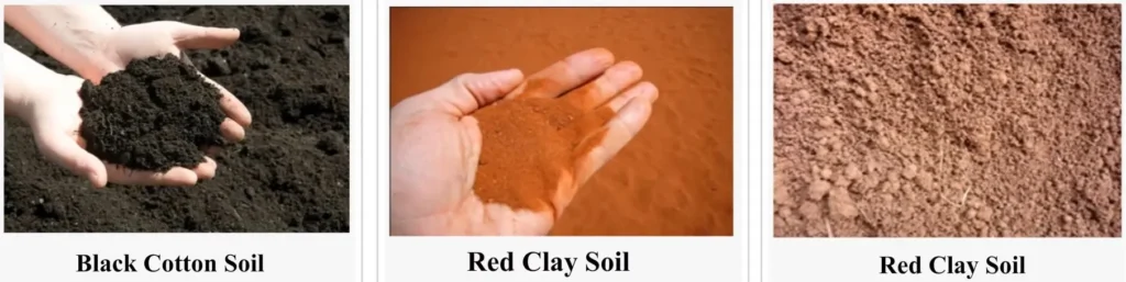 NATURE OF THE SOIL ONE