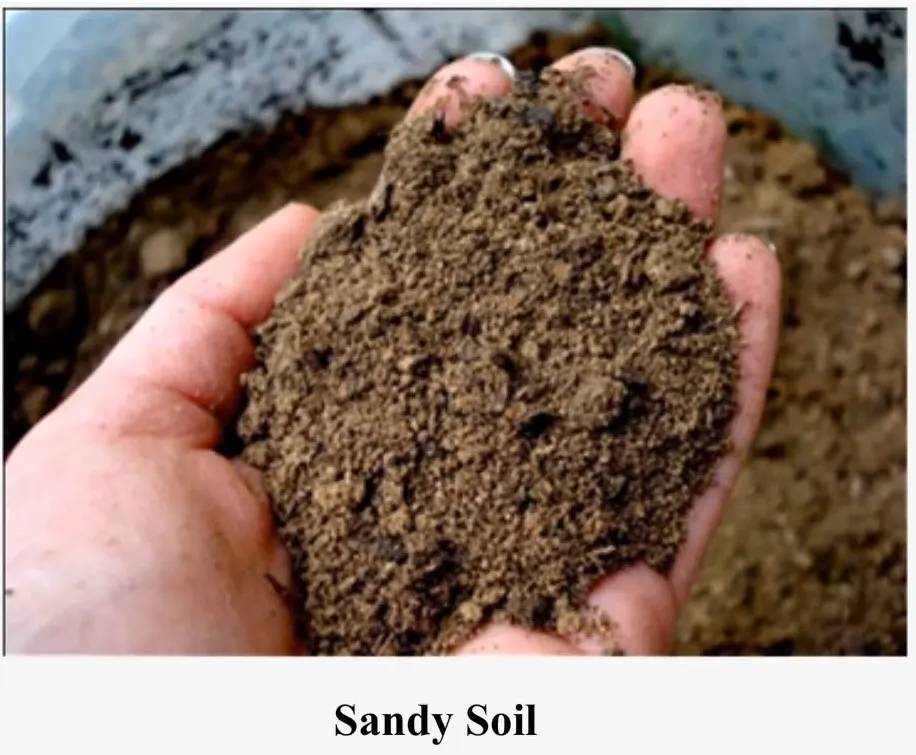 NATURE OF THE SOIL TWO