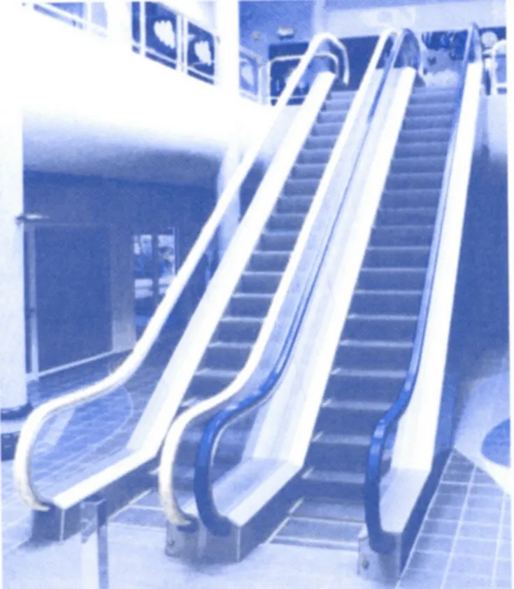 VERTICAL CIRCULATION NINE