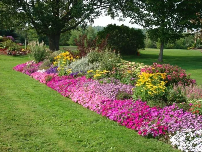FLOWER BEDS AND BORDERS