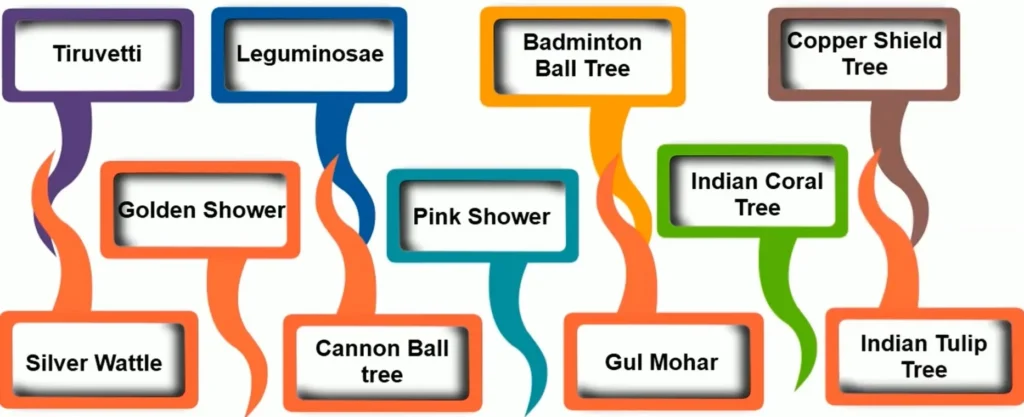 TREES SUITABLE FOR LANDSCAPED GARDENING