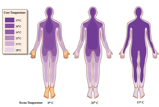 BASIC HUMAN REQUIREMENTS