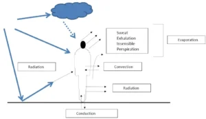 BODY'S HEAT PRODUCTION