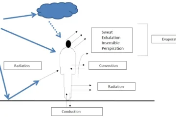BODY'S HEAT PRODUCTION