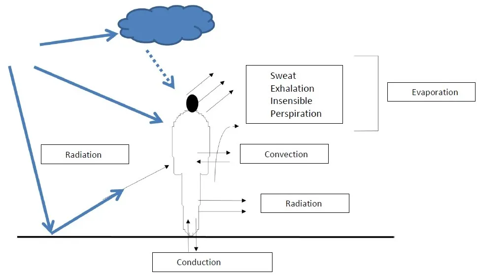 BODY'S HEAT PRODUCTION