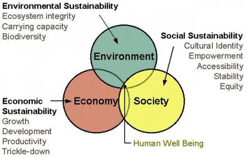ELEMENTS OF SUSTAINABILITY
