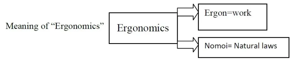 ERGONOMICS IMPORTANCE ONE