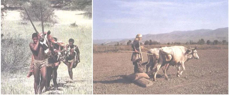 HISTORY OF PRE HISTORIC ARCHITECTURE ONE