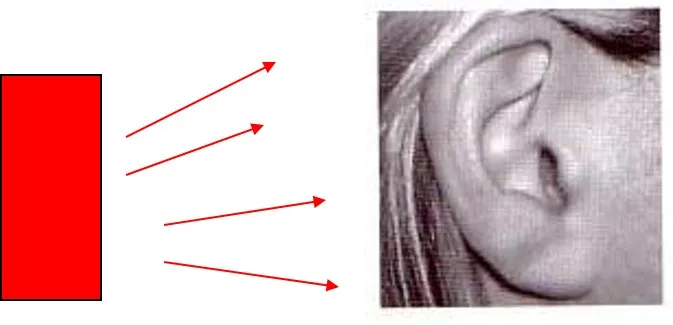 HUMAN SENSITIVITY TO SOUND