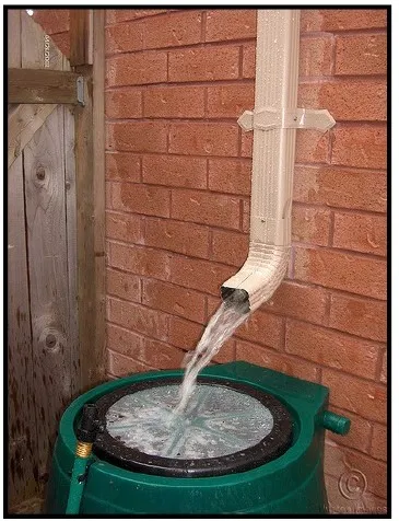 ILLUSTRATIONS OF COMMON HARVESTING TECHNIQUES THREE