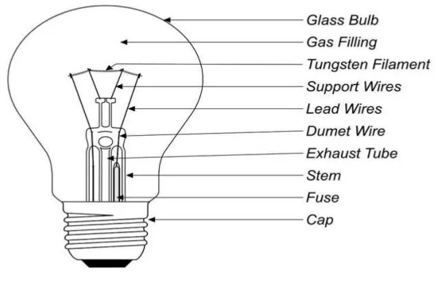 Different type store of lamps