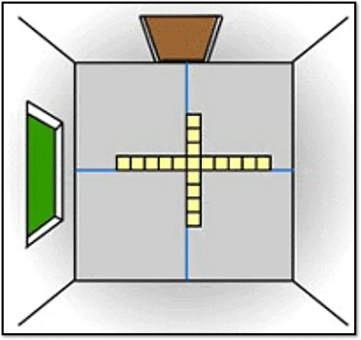 LAYOUT OF THE FLOOR AREA