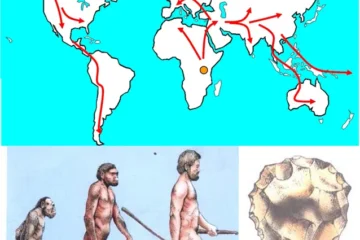 PRE HISTORIC ARCHITECTURE
