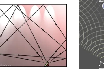 REVERBERATION