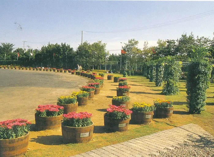 BORROWED SCENERY (SHAKKEI)