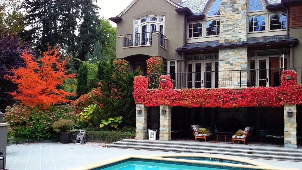 COLOR IN MODERN LANDSCAPE ONE