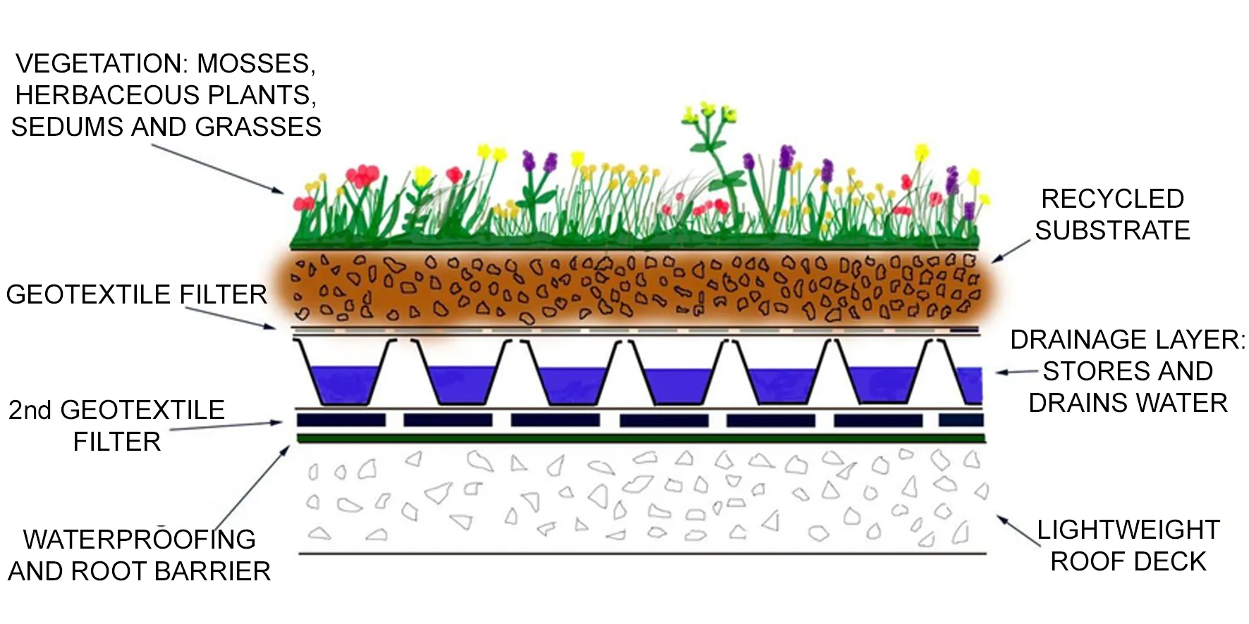 GREEN ROOF DESIGN ⋆ Archi-Monarch