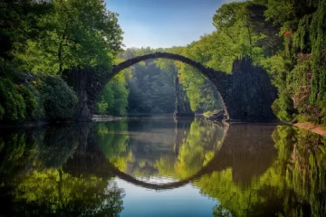 NATURE WITH LANDSCAPE