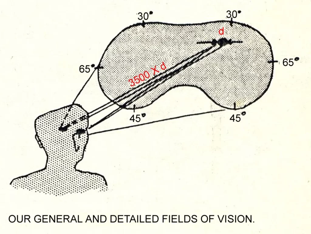 PROPORTION AND ANGLE OF VISION