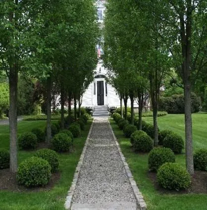 ROLE OF LANDSCAPE IN BUILT ENVIRONMENT FIVE