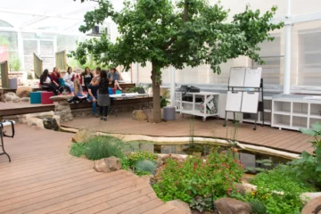 BIOPHILIC DESIGN