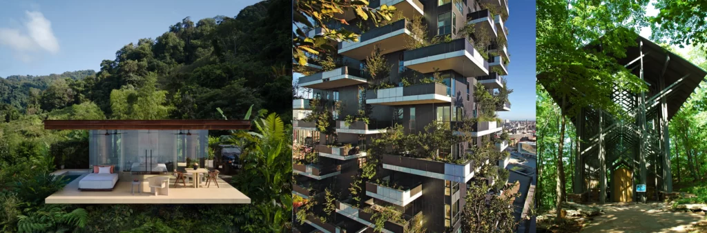 IMPLEMENTING BIOPHILIC DESIGN