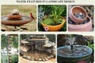 WATER FEATURES IN LANDSCAPE DESIGN