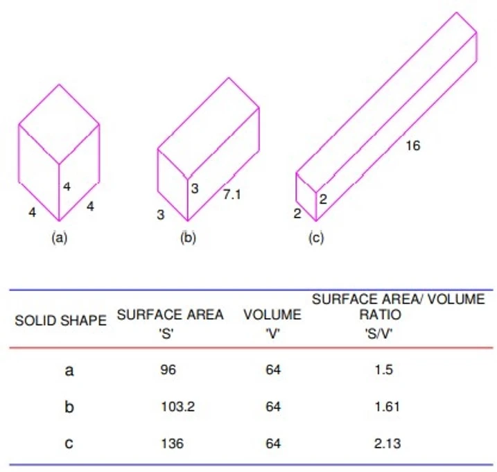 SURFACE AREA TO VOLUME RATIO