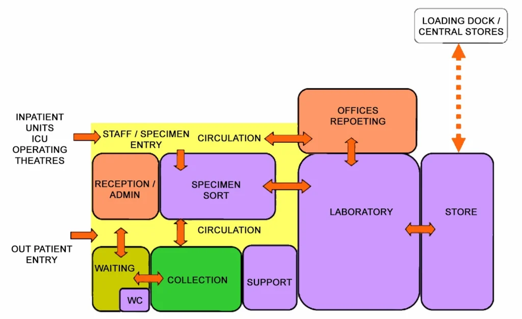 PATHOLOGY UNIT FUNCTIONAL RELATIONSHIP DIAGRAM