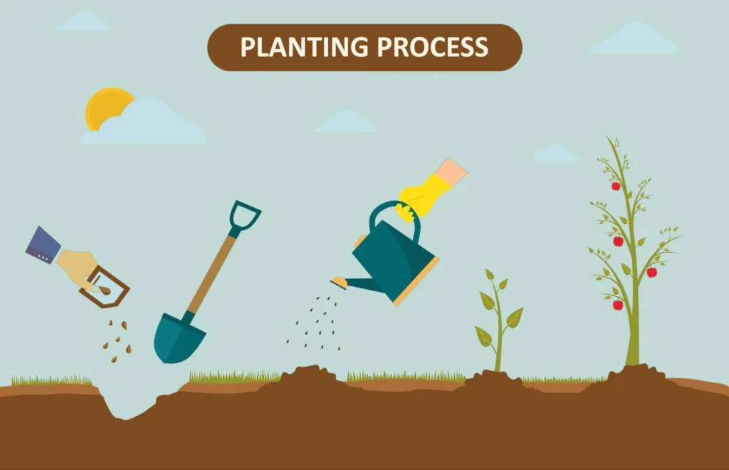 THE PROCESS OF PLANTING