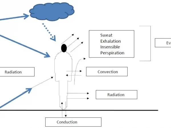 BODY'S HEAT PRODUCTION