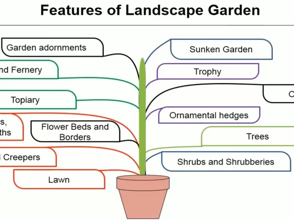FEATURES OF LANDSCAPE GARDEN AND GARDENING PLANTS FEATURES OF LANDSCAPE GARDEN AND GARDENING PLANTS