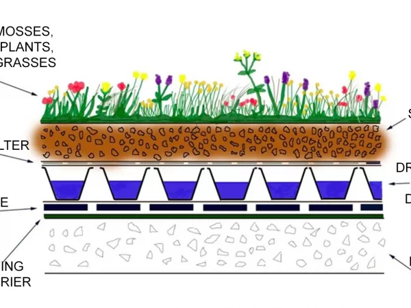 GREEN ROOF DESIGN GREEN ROOF DESIGN