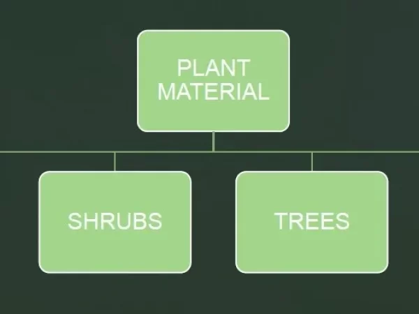 PLANT MATERIAL PLANT MATERIAL
