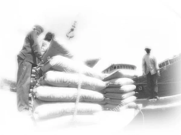 SPECIFICATION ON CARRIAGE AND STACKING OF MATERIAL SPECIFICATION ON CARRIAGE AND STACKING OF MATERIAL