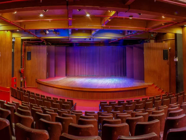 TYPE OF AUDITORIUM TYPE OF AUDITORIUM
