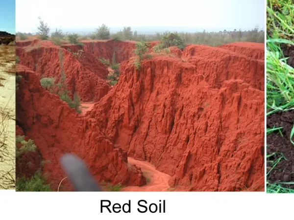 TYPES OF SOIL TYPES OF SOIL